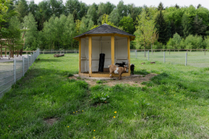 Impressions from the theme park / Eindrücke aus dem Freizeitpar