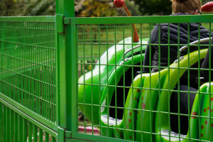 Raupe • SBF Visa Big Apple