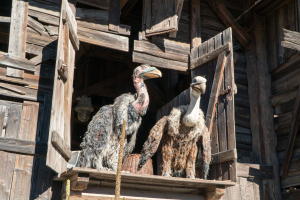 Freizeitpark Plohn