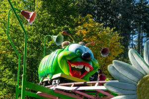 Raupe • SBF Visa Big Apple