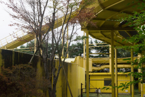 Nagashimasuka