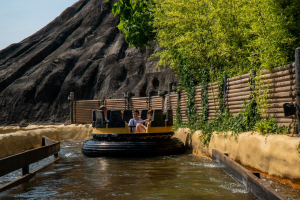 Jungle Rapids