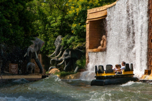 Jungle Rapids