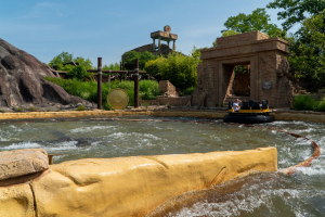 Jungle Rapids