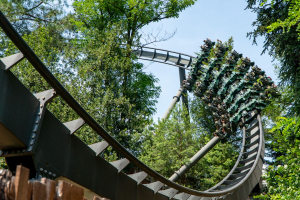 Raptor