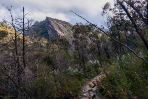 Chatauqua Peak