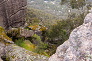 Grampian Wonderland • View from the Pinnacle Lookout