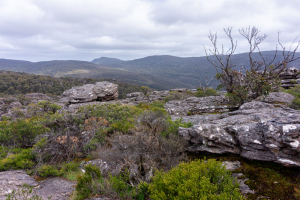 Grampian Wonderland • View from the Pinnacle Lookout