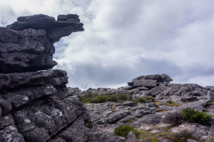 Grampian Wonderland • View from the Pinnacle Lookout