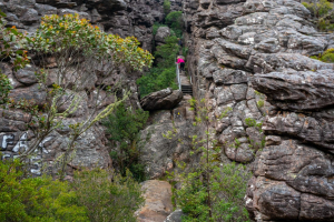 Grampian Wonderland • Silent Street