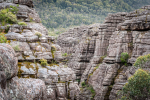 Grampian Wonderland • Grand Canyon