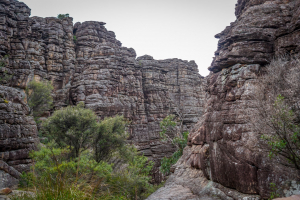 Grampian Wonderland • Grand Canyon