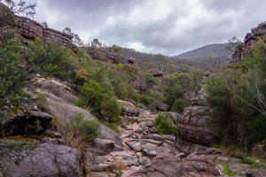 Grampian Wonderland • Grand Canyon
