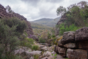 Grampian Wonderland • Grand Canyon