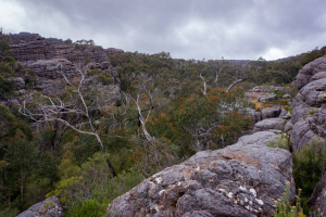 Grampian Wonderland • Grand Canyon