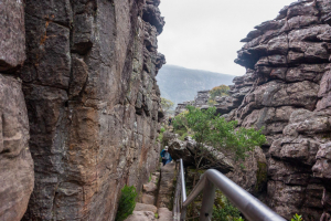 Grampian Wonderland • Silent Street