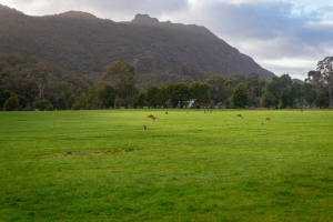 View from the terrace of the Kookaburra Motor Lodge