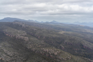 Reed Lookout