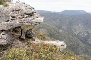 Reed Lookout