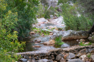 The way to Venus Bath