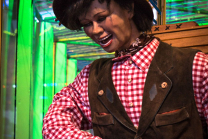 Der große Irrgarten (Rasch)