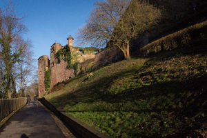 Schloss Heidelberg