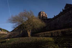 Schloss Heidelberg