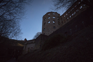 Schloss Heidelberg