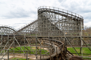 Wildcat