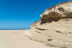 San Gregorio State Beach
