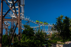 Fantastic-Coaster-Rowdy-12