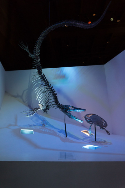Houston Museum of Natural Science