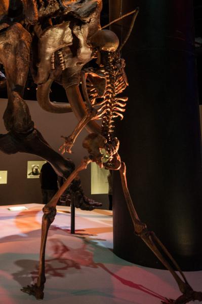 Houston Museum of Natural Science