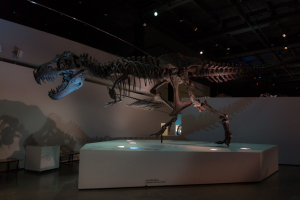 Houston Museum of Natural Science