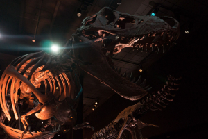 Houston Museum of Natural Science