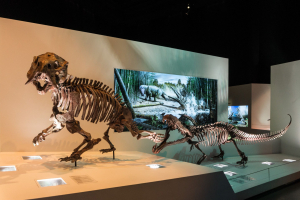 Houston Museum of Natural Science