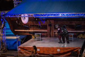Sea Lion Show