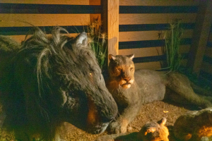 Noah's Ark