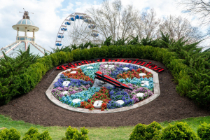Kings Dominion