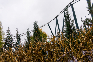 Feuerdrache • Zierer Force Five