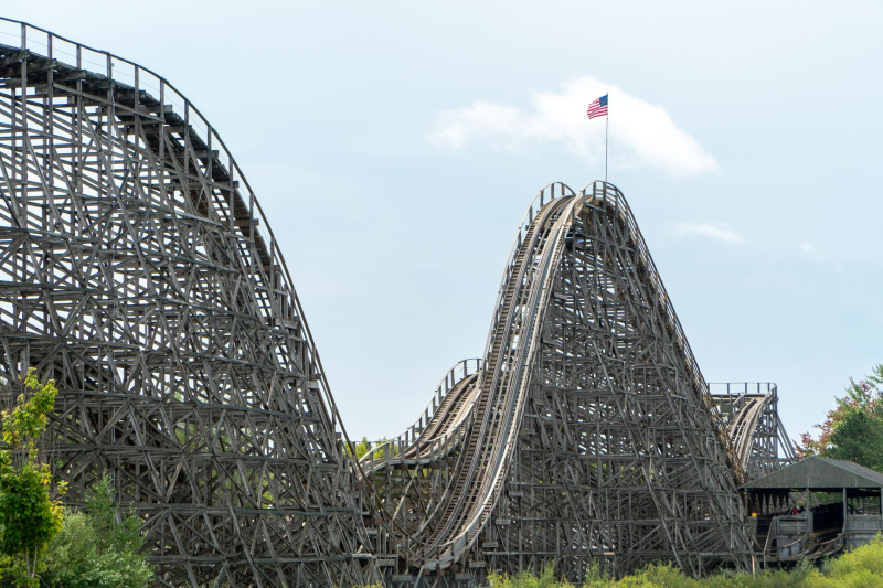Wolverine Wildcat