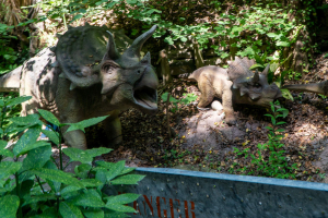 Pangea