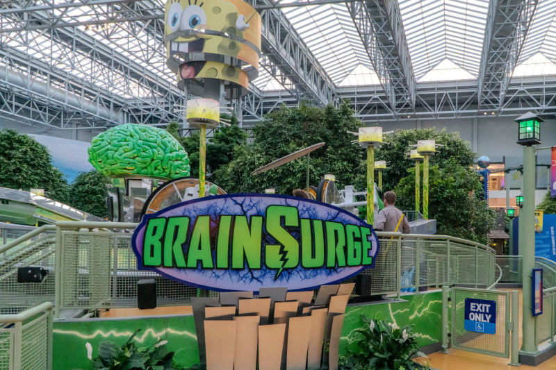 Brain Surge