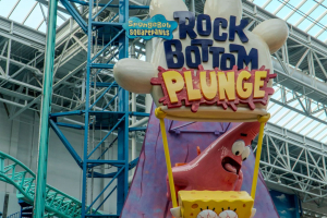 Spongebob Squarepants Rock Bottom Plunge