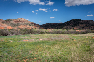 Palo Duro Canyon State Park
