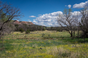 Palo Duro Canyon State Park