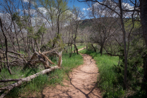 Palo Duro Canyon State Park