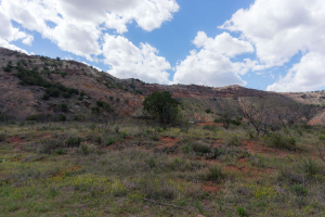 Palo Duro Canyon State Park