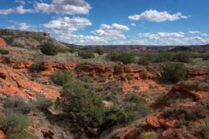 Palo Duro Canyon State Park