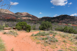 Palo Duro Canyon State Park